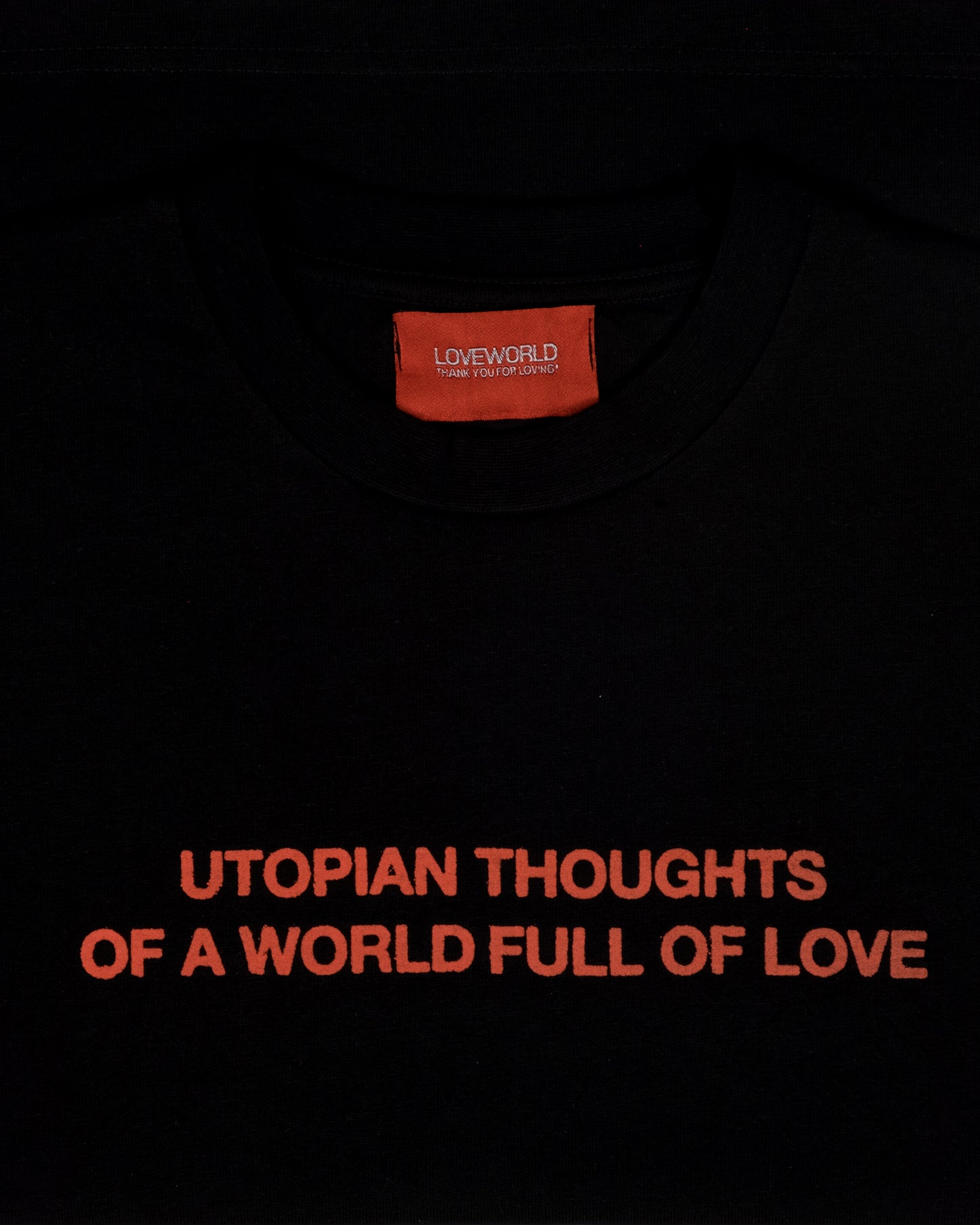 UTOPIAN THOUGHTS Cropped T-Shirt